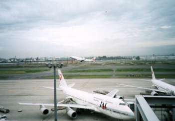 JAL(Japan AirLines)